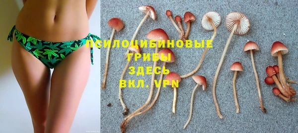 спайс Алзамай