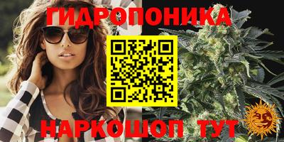 метадон Кинель