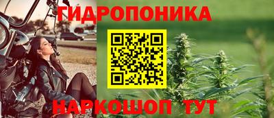 тгк Кимры