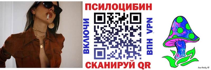 купить наркотик  Красногорск  Псилоцибиновые грибы MAGIC MUSHROOMS 